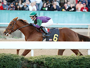 Arienza in her 2011 Oaklawn Debut, daughter of Azeri.