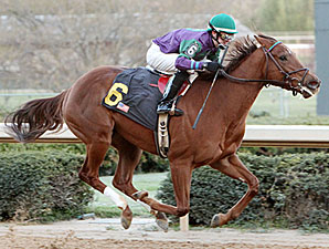 Arienza in her 2011 Oaklawn Debut, daughter of Azeri.