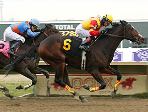 Arlo wins the 2012 Auld Lang Syne Stakes.