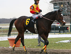 Arlo wins the 2012 Auld Lang Syne Stakes.