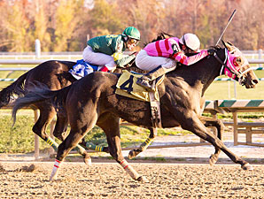 Art of the Hunt wins the 2011 Squan Song Stakes.