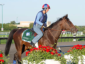 Aruna - Arlington Park, August 17, 2012.
