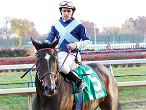 Aruna wins the 2010 Mrs. Revere.