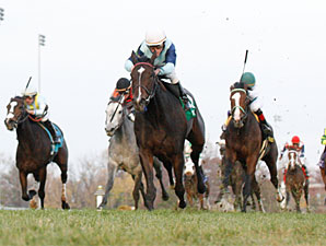 Aruna wins the 2010 Mrs. Revere.