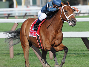 Ask the Moon wins the Ruffian Stakes.