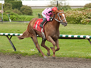 Aspen Getaway wins the 2014 Jim Coleman Province Stakes.