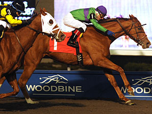 Athena Rose wins the 2011 Jammed Lovely Stakes.