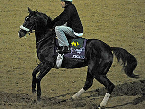 Atoned working at Churchill Downs.