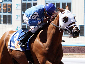 Attila's Hurricane wins the Dine.