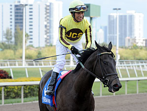 Aubby K wins the Inside Information Stakes.