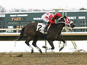 Aunt Ellipsis wins the 2014 Donna Freyer Stakes.