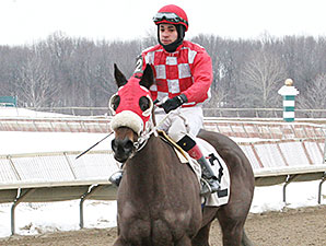 Aunt Ellipsis wins the 2014 Donna Freyer Stakes.