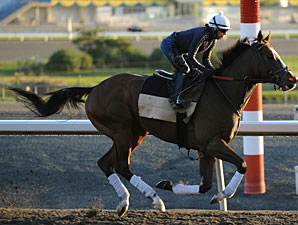 Auteur at Woodbine on September 13, 2010.