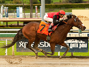 Avare wins the 2012 Eddie Logan Stakes.