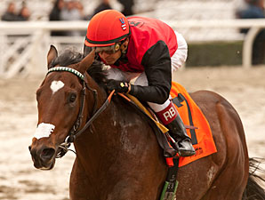 Avare wins the 2012 Eddie Logan Stakes.