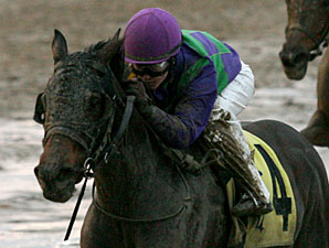 Avies Tale in the 2011 Blushing KD Handicap.