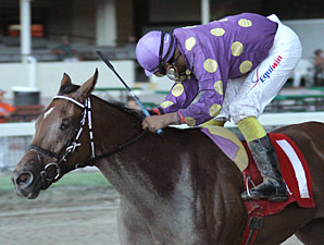 Awesome Feather wins the 2010 Desert Vixen Division of the Florida Stallion Stakes.
