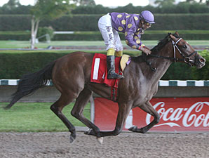 Awesome Feather wins the 2010 Desert Vixen Division of the Florida Stallion Stakes.