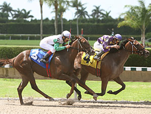 Awesome Feather wins the 2010 JJ's Dream Stakes.