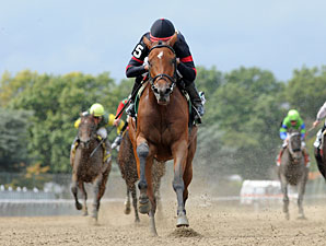 Awesome Feather wins the 2012 Nasty Storm.