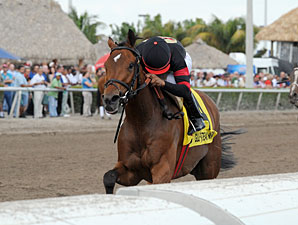 Awesome Feather wins the 2012 Sunshine Millions Distaff.