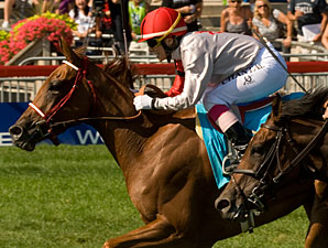 Awesome Fire wins the Wonder Where Stakes.