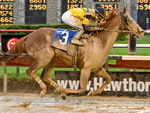 Awesome Gem wins the 2009 Hawthorne Gold Cup.