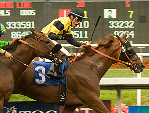 Awesome Gem wins the 2010 Hollywood Gold Cup.