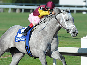 Awesome Maria wins the 2011 Sabin Stakes.