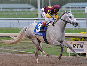 Awesome Maria wins the 2012 Sabin.