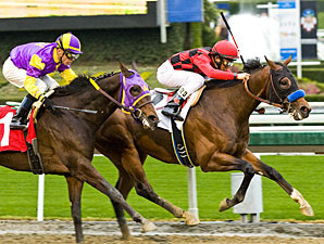 Awesome Patriot Allowance win 12/29/10