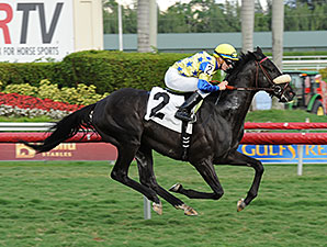 Ay No Digas - Maiden Win, January 10, 2014.