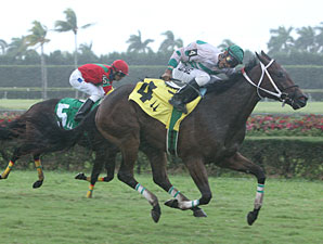 Ayoumilove wins the 2010 Catcharisingstar.