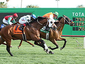 Az Ridge wins the 2014 Turf Paradise Handicap.