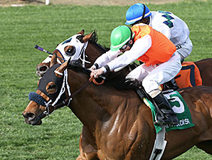 Az Ridge wins the 2014 Turf Paradise Handicap.