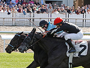 B and B's Pulpit wins the 2014 Gentilly Stakes.