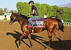 Breeders' Cup News Update for October 30, 2014 Breeders' Cup News Update for October 30, 2014