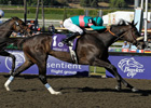 Breeders' Cup Wrapup: October 24