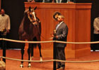 Fasig-Tipton July Sale Wrap-Up