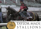 Breeders' Cup News Minute 11/3/2011