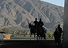 Breeders' Cup News Minute - 10/30/2013 Breeders' Cup News Minute - 10/30/2013