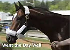 Preakness News Minute 5/17/2012