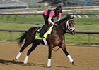 Kentucky Derby News Minute, 4/30/2013