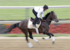 Preakness News Minute: 5/16/2013