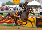 2013 Preakness Stakes Wrap 2013 Preakness Stakes Wrap