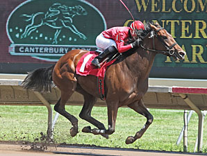 B J's Angel wins the 2013 MTA Stallion Auction Lassie Stakes.