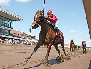 B J's Angel wins the 2013 MTA Stallion Auction Lassie Stakes.