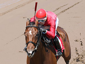 B J's Angel wins the 2013 MTA Stallion Auction Lassie Stakes.