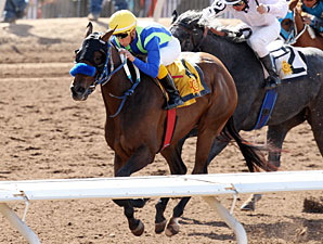 Back Seat Roll wins the New Mexico Breeders' Oaks.