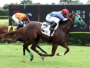 Backseat Memories wins the Mambo Meister Stakes.